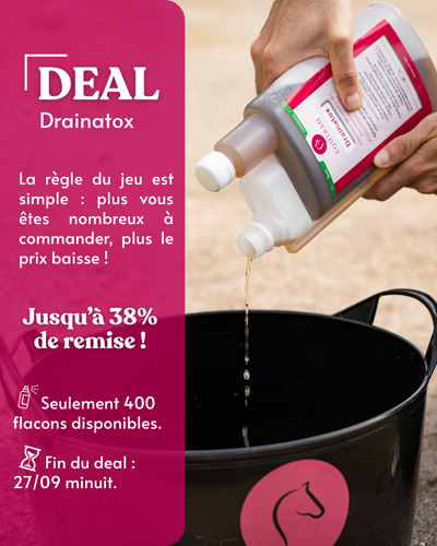 deal